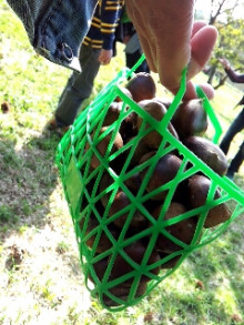 たかぎ歯科・矯正歯科　みんなの日記