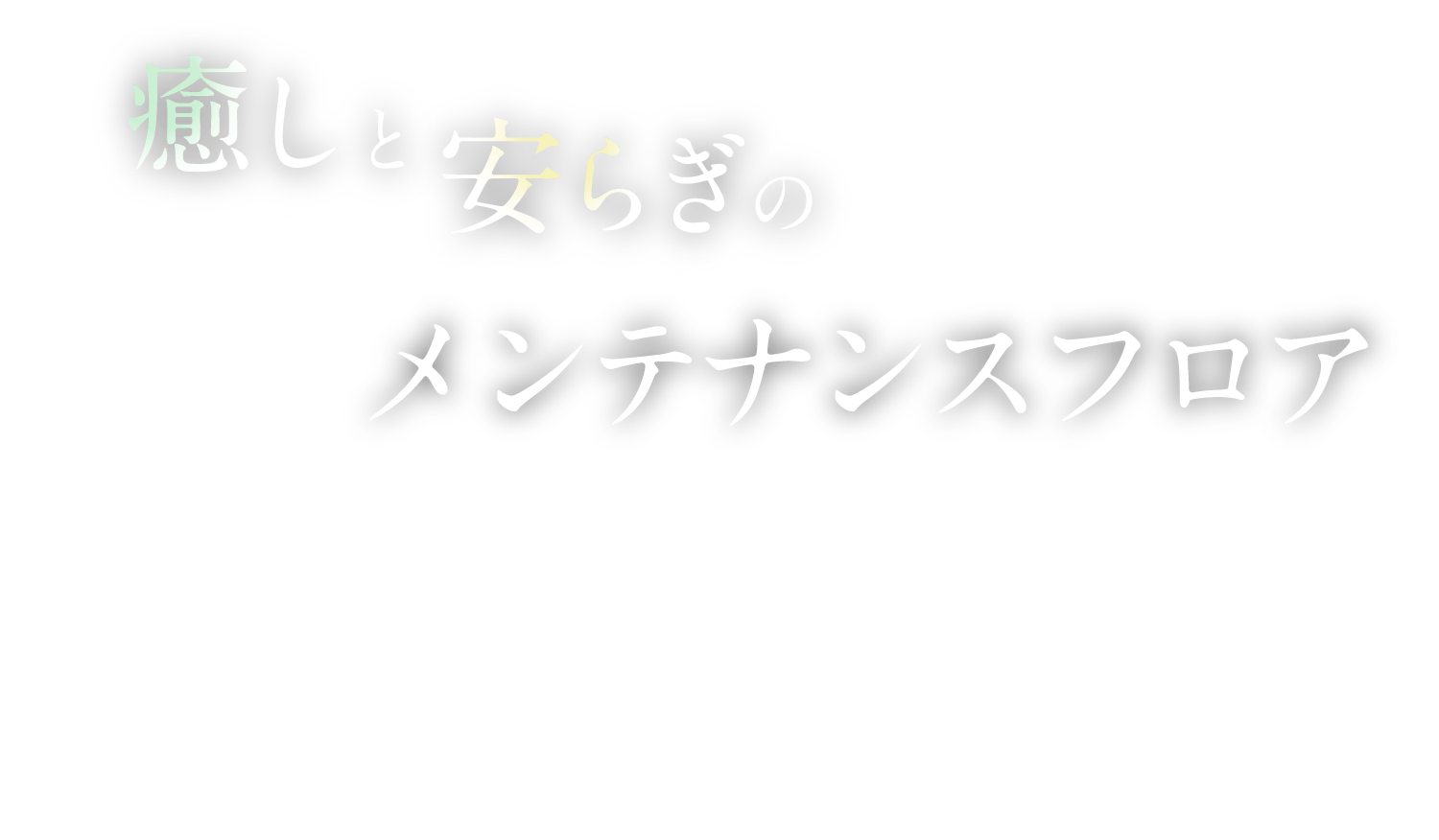 癒しと安らぎのメンテナンスフロア